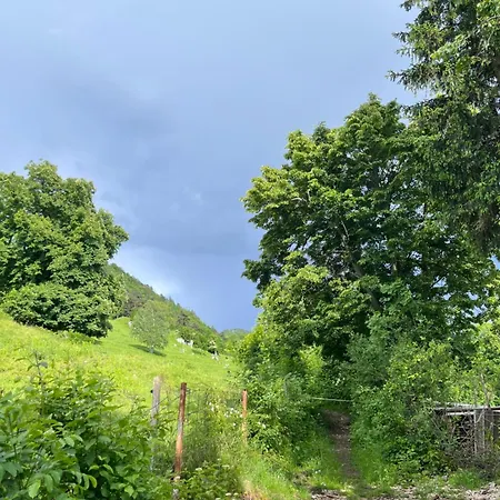 Prázdninový dům Cottage Zirovnica *