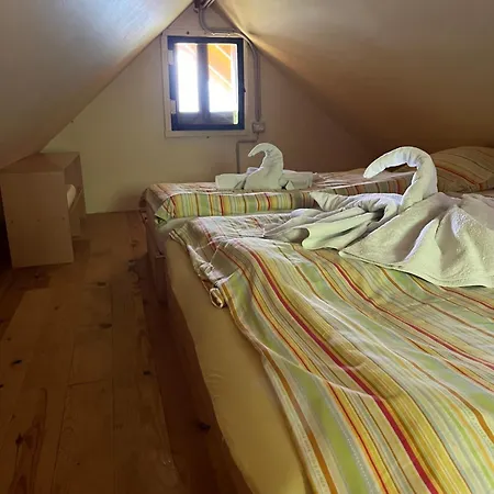 Prázdninový dům Cottage Zirovnica Zirovnica