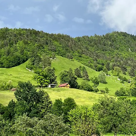 Cottage Zirovnica Zirovnica
