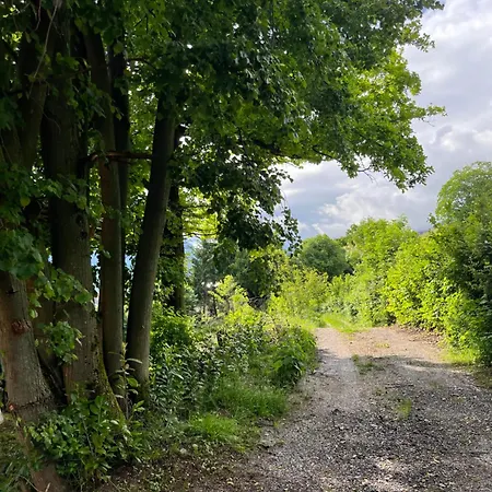 Cottage Zirovnica Zirovnica