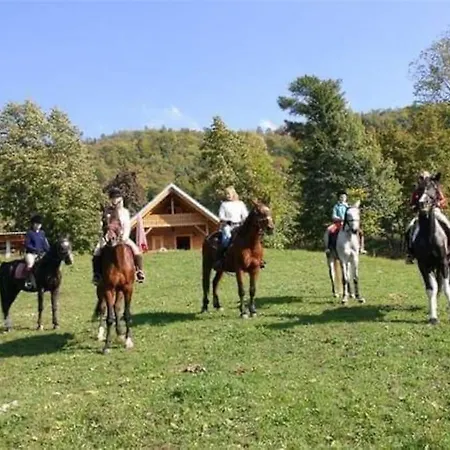 Cottage Zirovnica *