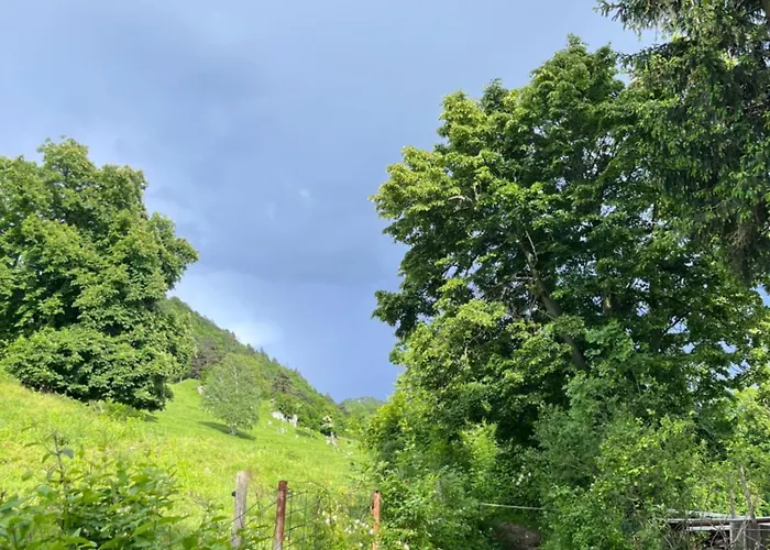 別荘 Cottage Zirovnica *